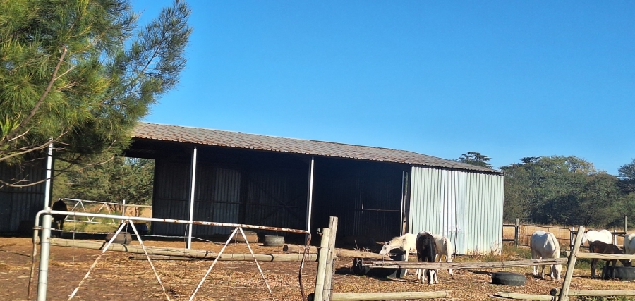 3 Bedroom Property for Sale in Zuurfontein Gauteng