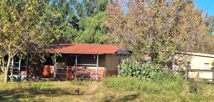 3 Bedroom Property for Sale in Zuurfontein Gauteng
