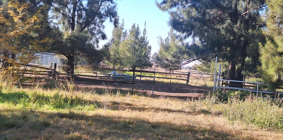 3 Bedroom Property for Sale in Zuurfontein Gauteng