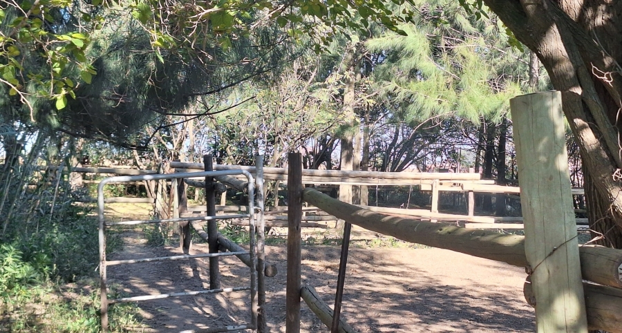 3 Bedroom Property for Sale in Zuurfontein Gauteng
