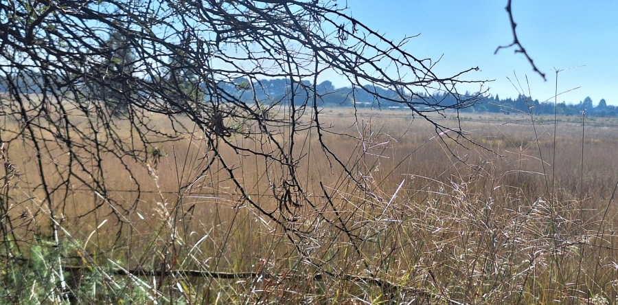 3 Bedroom Property for Sale in Zuurfontein Gauteng