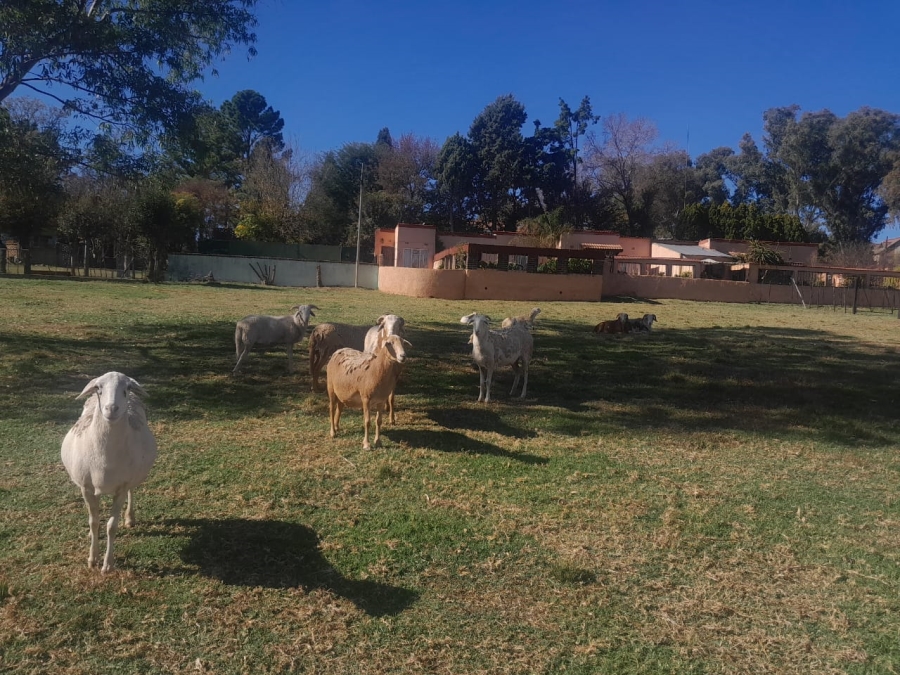 To Let 2 Bedroom Property for Rent in Randpark Ridge Gauteng