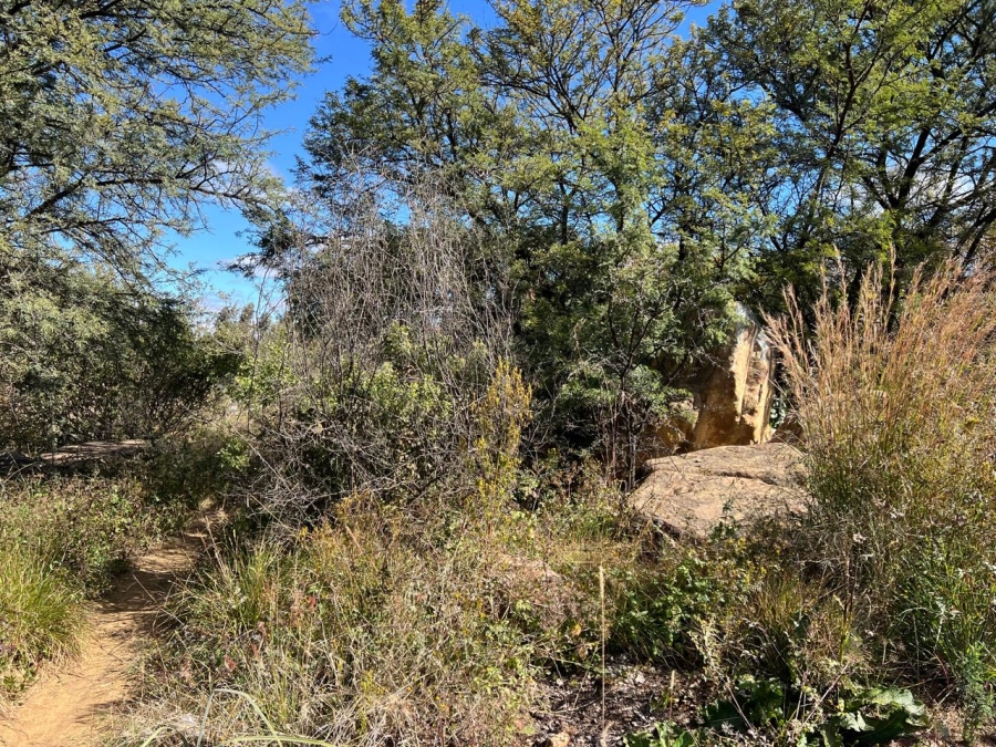 0 Bedroom Property for Sale in Vaal Marina Gauteng