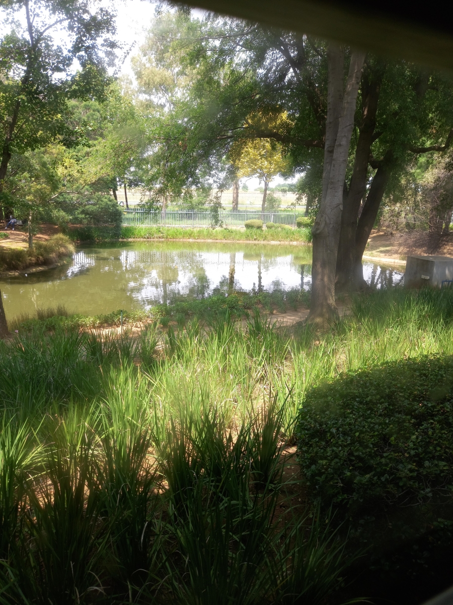 To Let commercial Property for Rent in Randjespark Gauteng