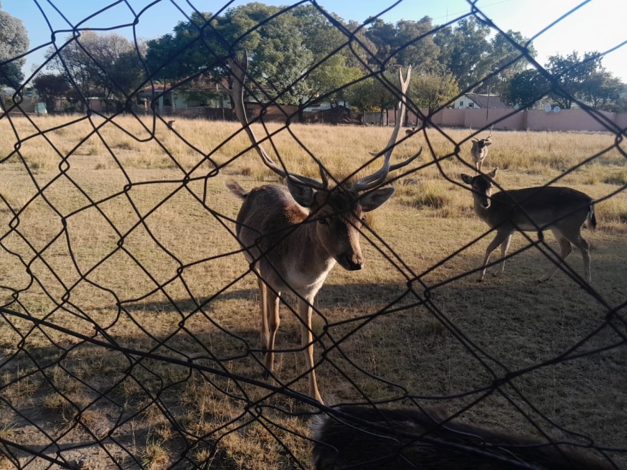 To Let 1 Bedroom Property for Rent in Randpark Ridge Gauteng