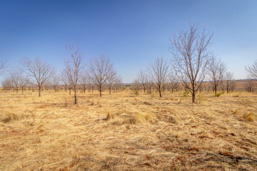 5 Bedroom Property for Sale in Westonaria Gauteng