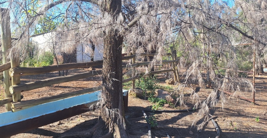 5 Bedroom Property for Sale in Mantevrede Gauteng