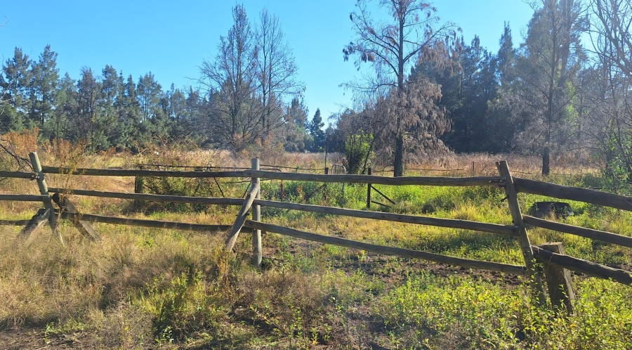 5 Bedroom Property for Sale in Mantevrede Gauteng