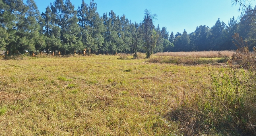 5 Bedroom Property for Sale in Mantevrede Gauteng