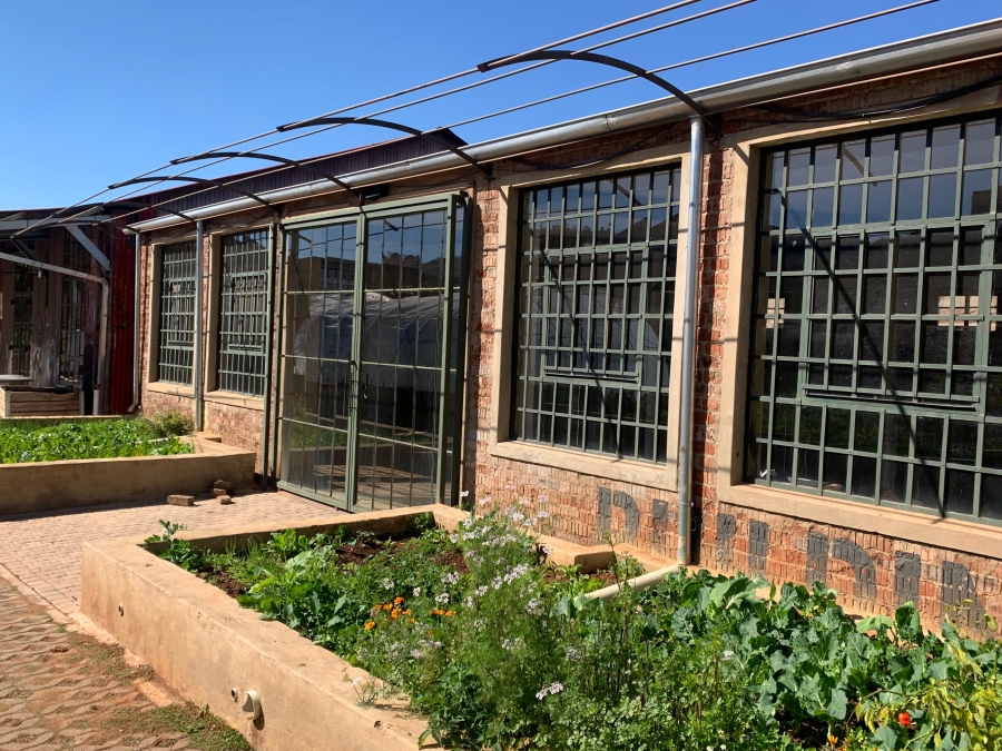 To Let commercial Property for Rent in Lorentzville Gauteng