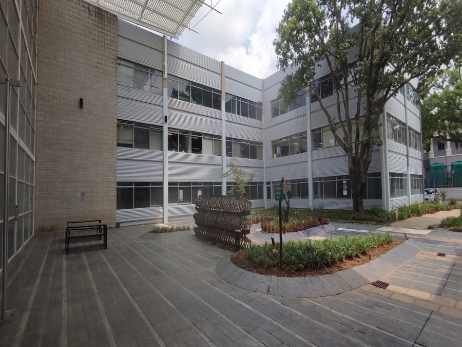 To Let commercial Property for Rent in Illovo Gauteng