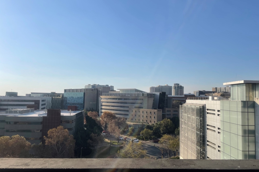To Let 1 Bedroom Property for Rent in Sandown Gauteng