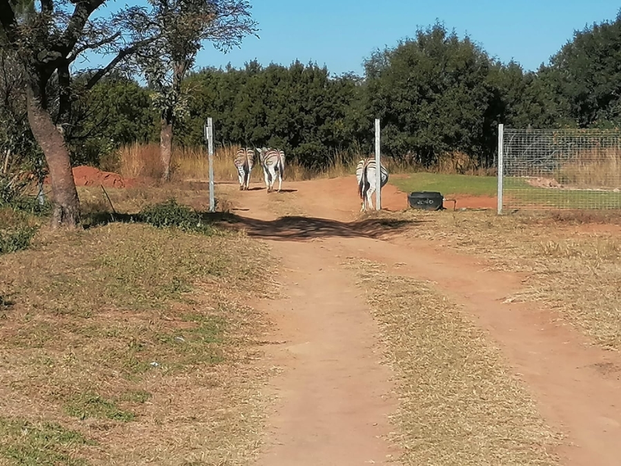 4 Bedroom Property for Sale in Roodepark Eco Estate Gauteng