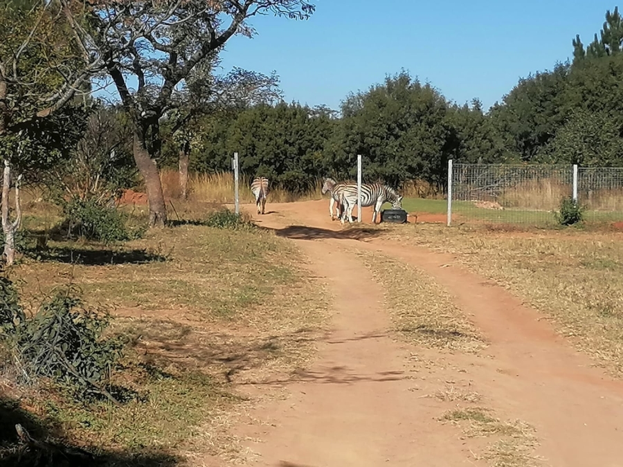 0 Bedroom Property for Sale in Roodepark Eco Estate Gauteng