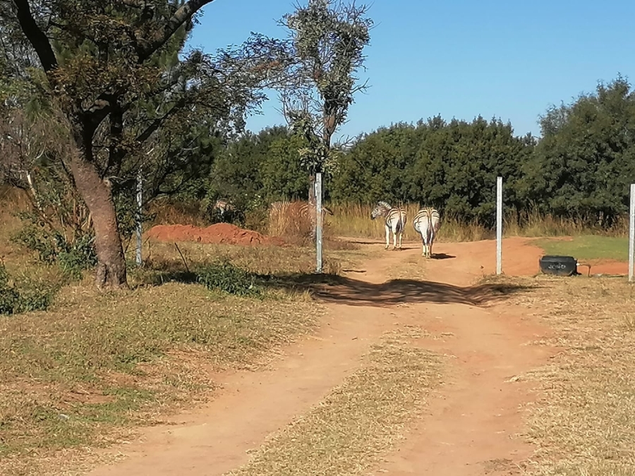 0 Bedroom Property for Sale in Roodepark Eco Estate Gauteng