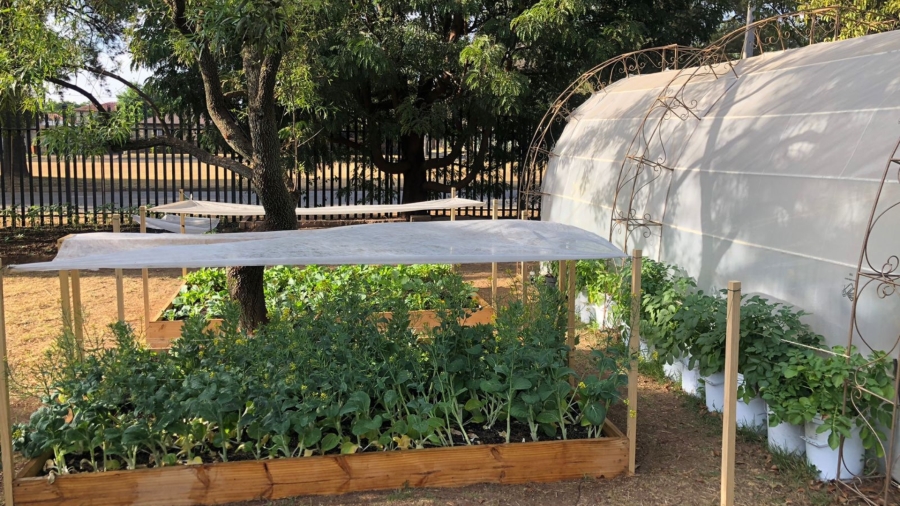 0 Bedroom Property for Sale in Northmead Gauteng