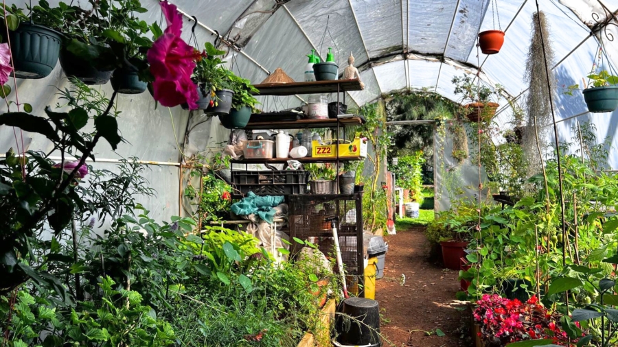 0 Bedroom Property for Sale in Northmead Gauteng