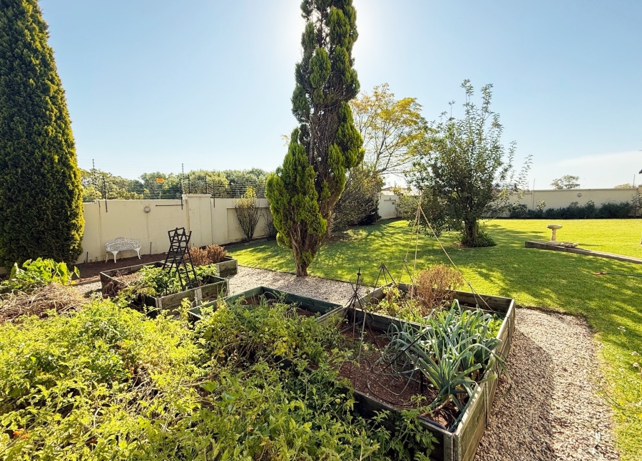 To Let 3 Bedroom Property for Rent in Sunninghill Gauteng