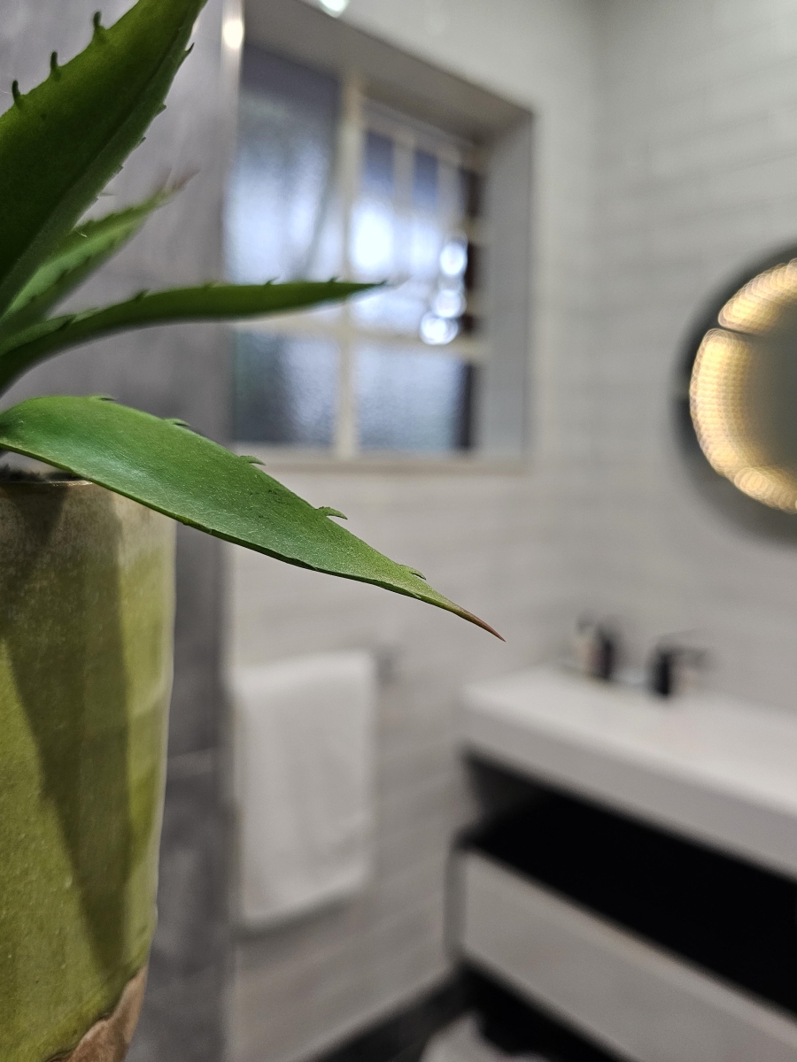 To Let 1 Bedroom Property for Rent in Rosebank Gauteng