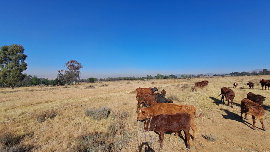 Commercial Property for Sale in Boschfontein Gauteng