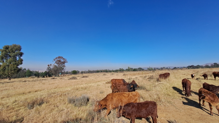 Commercial Property for Sale in Boschfontein Gauteng