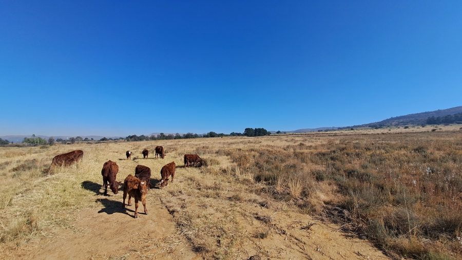 Commercial Property for Sale in Boschfontein Gauteng