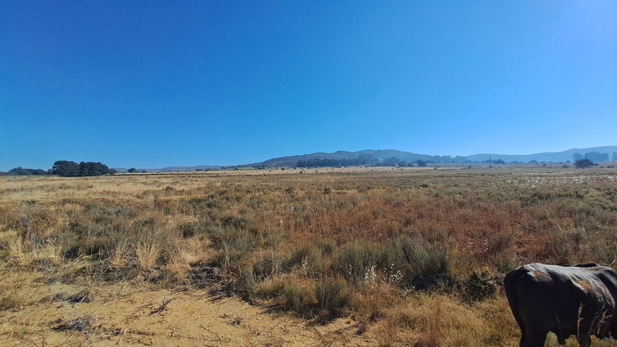 Commercial Property for Sale in Boschfontein Gauteng