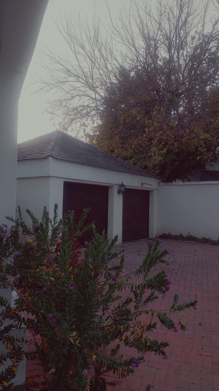 To Let 3 Bedroom Property for Rent in Bryanston Gauteng