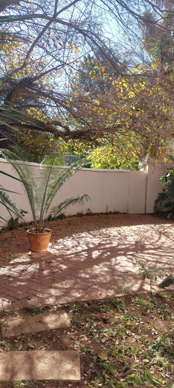 To Let 3 Bedroom Property for Rent in Bryanston Gauteng