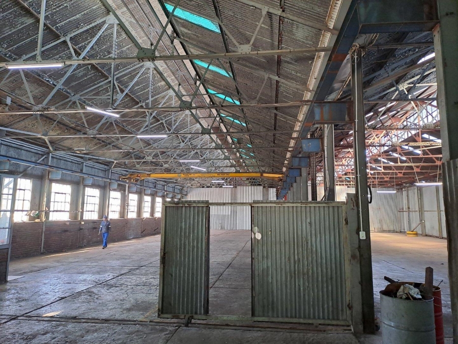 To Let commercial Property for Rent in Peacehaven Industrial Gauteng