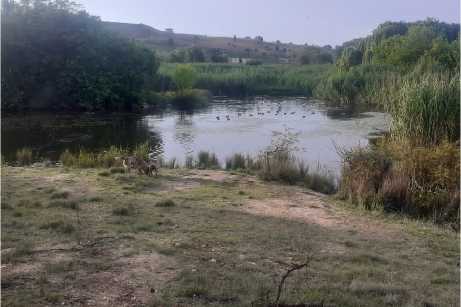 0 Bedroom Property for Sale in Lanseria Gauteng
