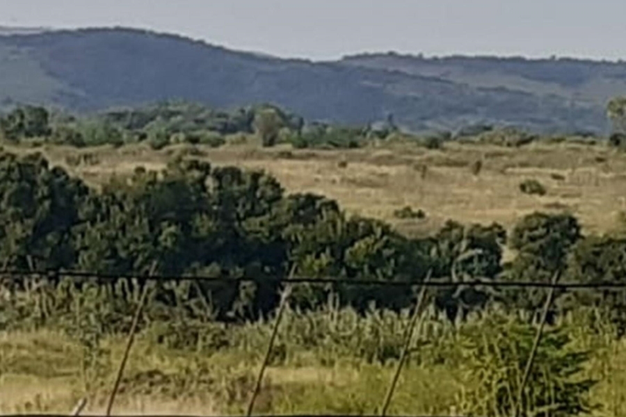 0 Bedroom Property for Sale in Lanseria Gauteng