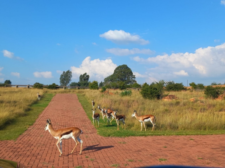 0 Bedroom Property for Sale in Heidelberg Kloof Estate Gauteng