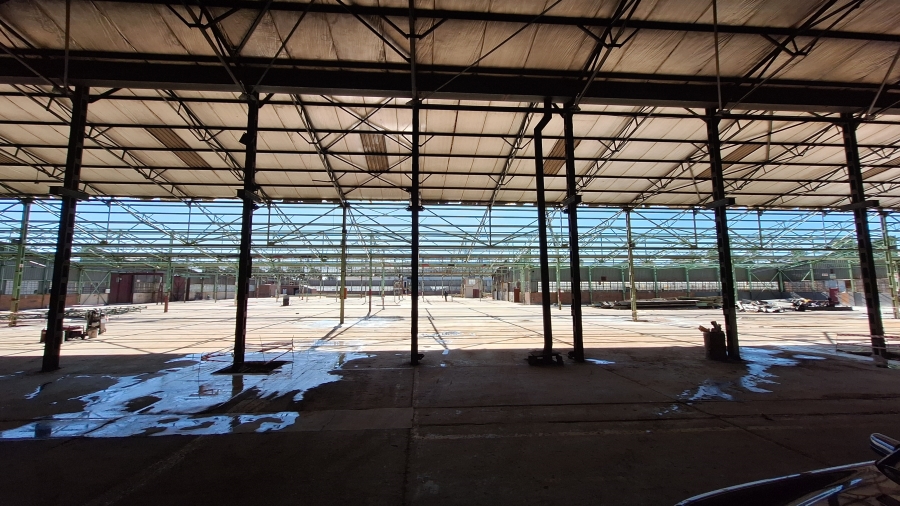 To Let commercial Property for Rent in Technikon Gauteng