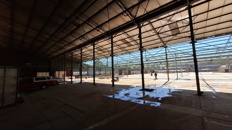 To Let commercial Property for Rent in Technikon Gauteng