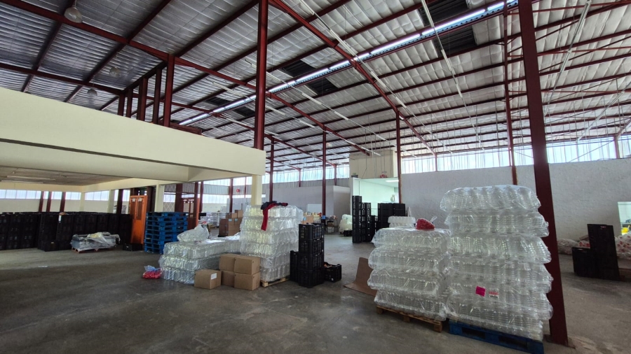 To Let commercial Property for Rent in Silvertondale Gauteng