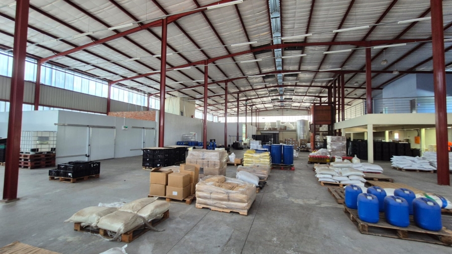To Let commercial Property for Rent in Silvertondale Gauteng