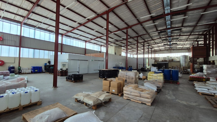 To Let commercial Property for Rent in Silvertondale Gauteng