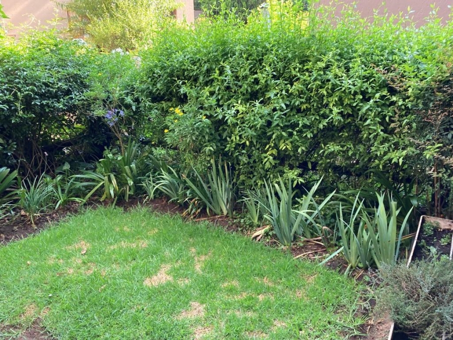 To Let 1 Bedroom Property for Rent in Parkwood Gauteng