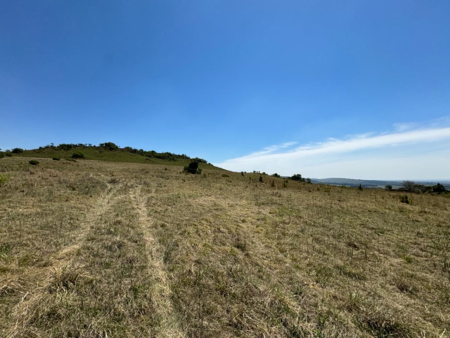 0 Bedroom Property for Sale in Hartzenbergfontein Gauteng
