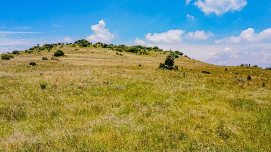 0 Bedroom Property for Sale in Hartzenbergfontein Gauteng