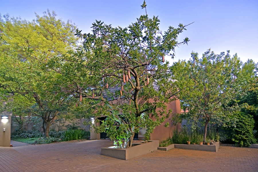 4 Bedroom Property for Sale in Bryanston Gauteng