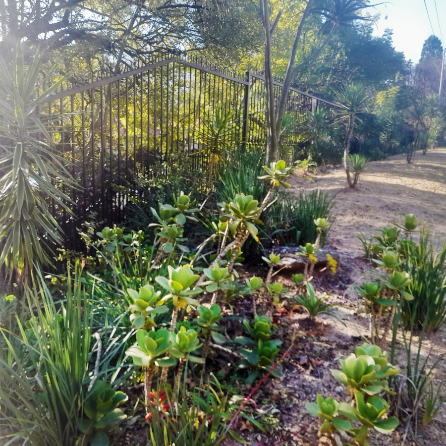 To Let 4 Bedroom Property for Rent in Bryanston Gauteng