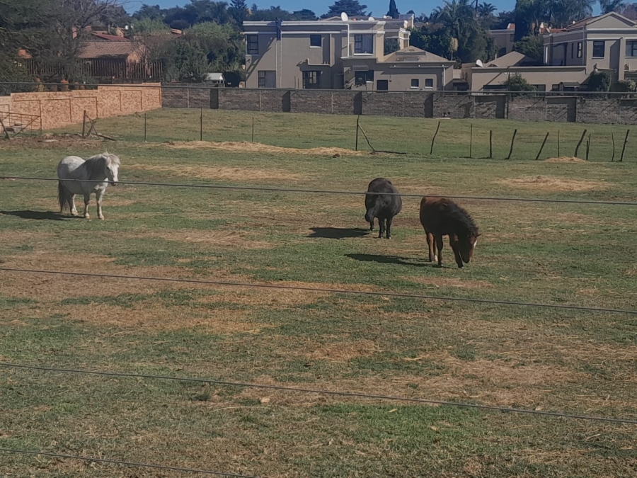 To Let 5 Bedroom Property for Rent in Randpark Ridge Gauteng