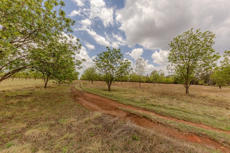15 Bedroom Property for Sale in Eldorado Gauteng