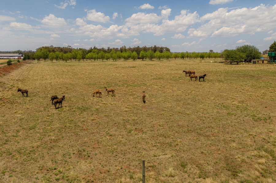 15 Bedroom Property for Sale in Eldorado Gauteng