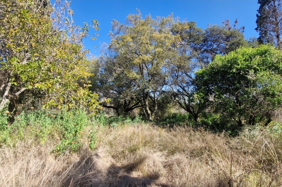 0 Bedroom Property for Sale in Brandvlei A H Gauteng