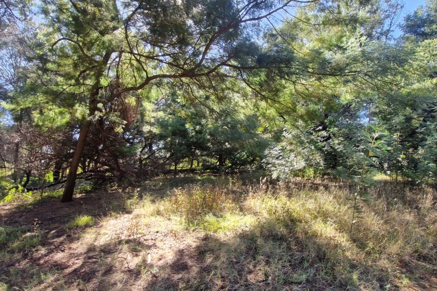 0 Bedroom Property for Sale in Brandvlei A H Gauteng