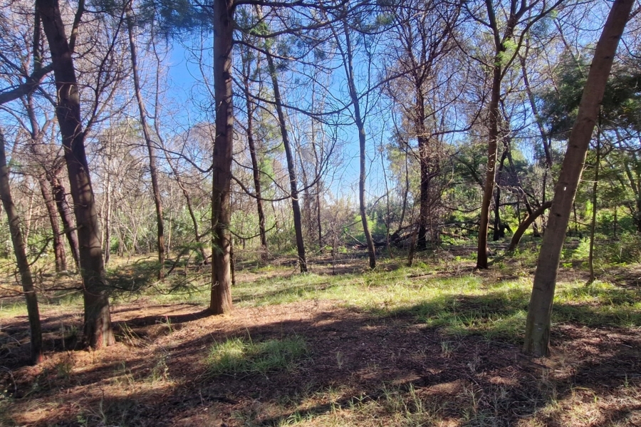 0 Bedroom Property for Sale in Brandvlei A H Gauteng