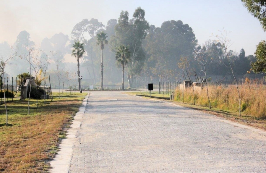 0 Bedroom Property for Sale in Knoppieslaagte Gauteng
